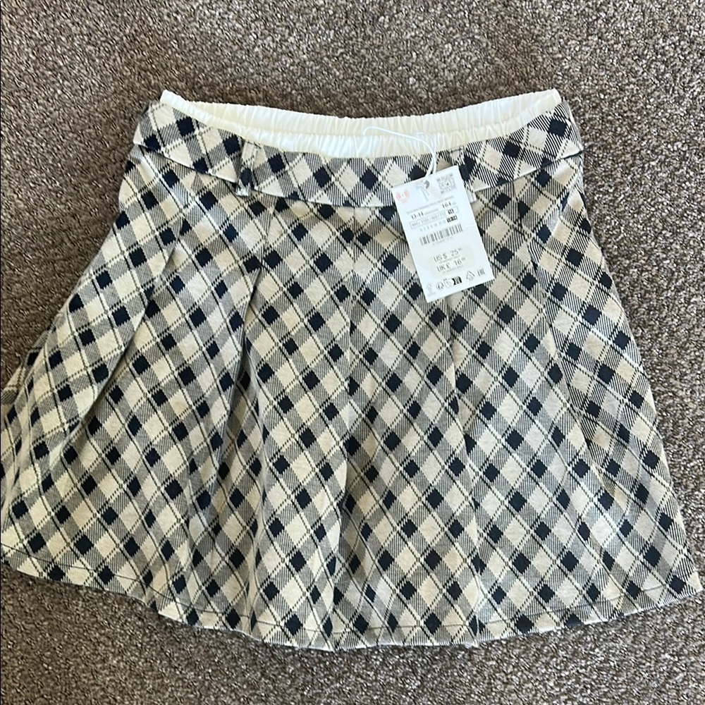 Zara Skater Mini Skirt